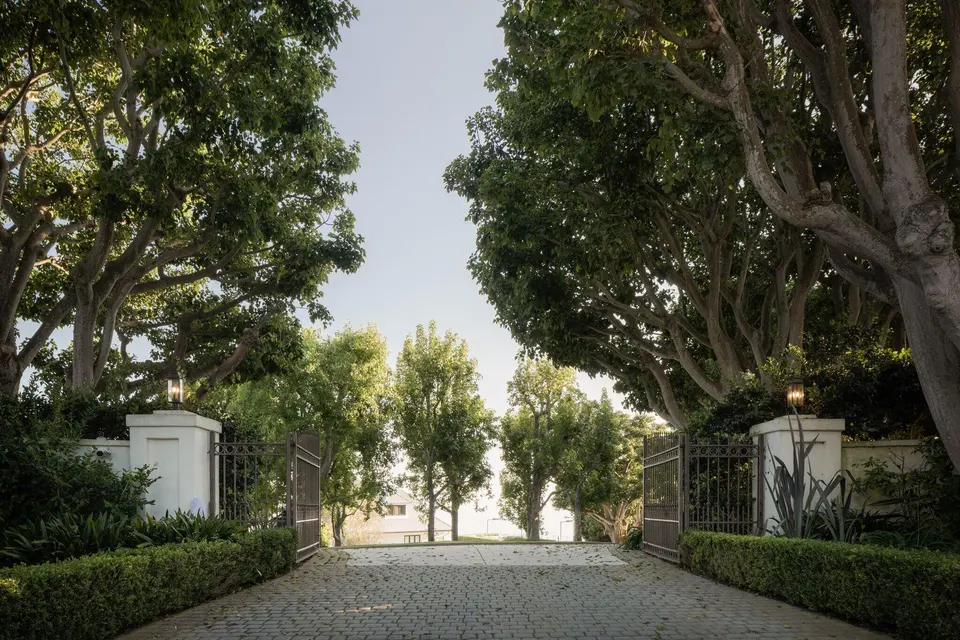 The approach through the trees